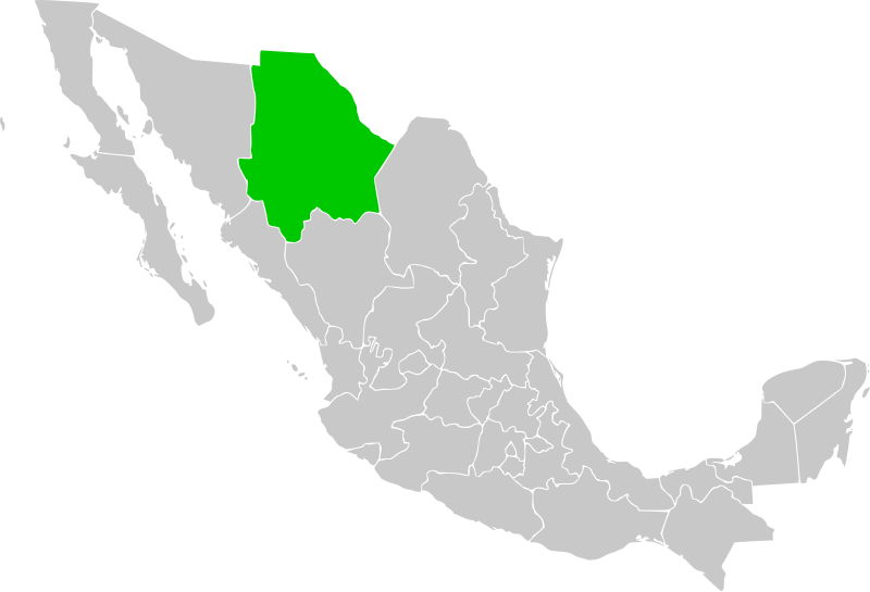 800px Chihuahua in Mexico.svg クリスタルの洞窟