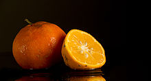 Citrus x limonia (2).jpg
