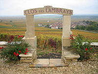 Clos des Lambrays. 
 JPG