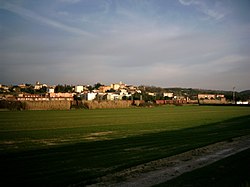 Skyline of Collesalvetti