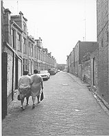 Gezicht op het oostelijke deel van de Davidstraat in 1971 vanuit de ingang bij de Hereweg. De woningen werden later allemaal gesloopt.