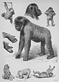 Die Gartenlaube (1876) b 557.jpg Der Gorilla des Berliner Aquariums. Nach der Natur skizzirt von H. Leutemann (S)