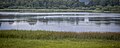 Dreifelder Weiher - Westerwälder Seenplatte