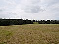 Oxlees meadows (Green Chain Walk)