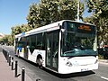 Bus Azur au Cannet. « Organisation des transports urbains » (2e compétence obligatoire : aménagement de l'espace communautaire)