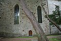 Gothic eyes of the church