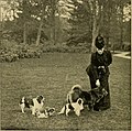 Alexandra hercegnő a kutyáival (1898)