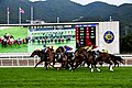 2023年12月10日，于沙田马场“2023年香港国际赛事”中，香港杯2023赛事开始时马匹出闸