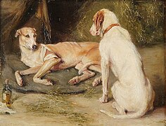 Dogs by Ida von Schulzenheim