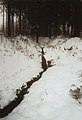 El naixement de l'Innerste a la serralada Harz a l'hivern.