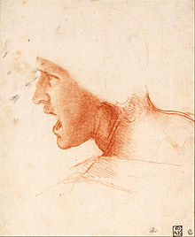 A study drawing by Leonardo for The Battle of Anghiari Leonardo da Vinci - Study of a Warrior's Head for the Battle of Anghiari - Google Art Project.jpg