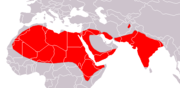 Aire de répartition du Petit rhinopome