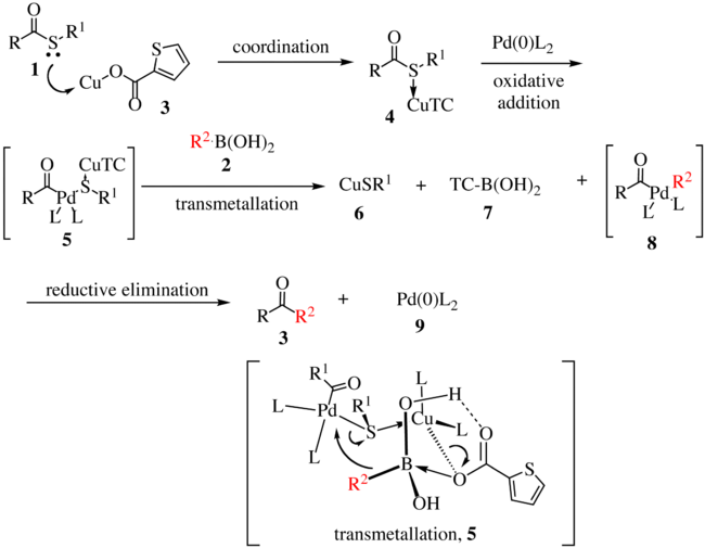 Mechanismus Liebeskindovy–Šroglovy reakce první generace