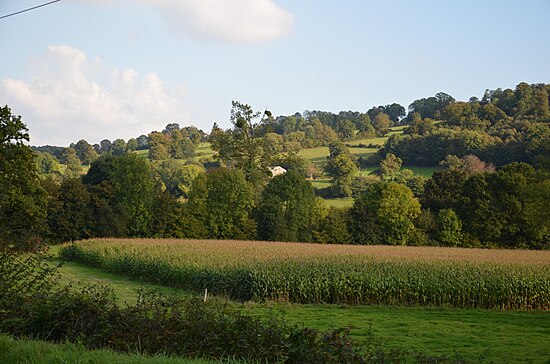 La vallée de la Vire à Malloué.