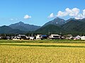 2013年5月27日 (月) 10:46時点における版のサムネイル