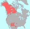 Pre-Columbian distribution of Na-Dene languages in North America