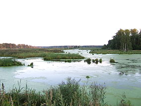 Nacia Park Elk Island (Moskva regiono).jpg