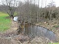 Le ruisseau de l'Étang de l'Étourneau en limites de Champniers-et-Reilhac et de Saint-Mathieu.