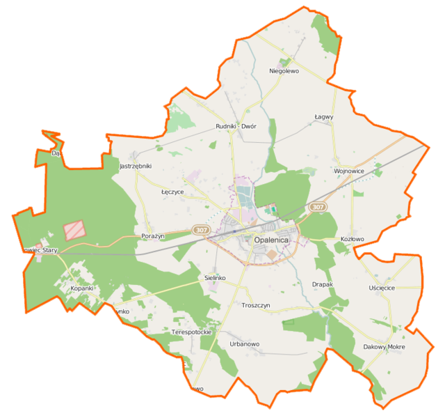 Mapa konturowa gminy Opalenica, w centrum znajduje się punkt z opisem „Opalenica”