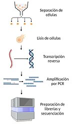 Miniatura para Transcriptómica de células individuales