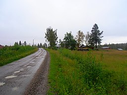 Selkäjärvi, augusti 2016.