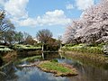 2014年4月5日 (土) 12:53時点における版のサムネイル