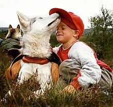 Un perro blanco con arnés acaricia juguetonamente a un niño