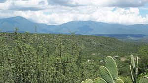 Sierra Madre Oriental - La Independencia Jaumave, Tam..jpg