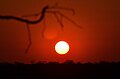 Sonnenscheibe kurz vor dem Sonnenuntergang in Namibia