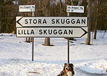 Vägskyltar "Stora Skuggan" - "Lilla Skuggan", januari 2011