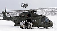 Image illustrative de l’article Commando Helicopter Force