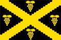 Vlag van Wijnegem