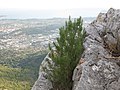 Blick vom Mont Caume bei Évenos nach Süden