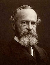 Philosopher and psychologist William James William James b1842c.jpg