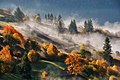 30. Őszi reggel a Rahó körüli hegyekben (Kárpátok Bioszféra Rezervátum, Ukrajna) (javítás)/(csere)