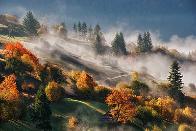 Suasana pagi hari saat musim gugur di pinggiran kota Rakhiv, Oblast Zakarpattia, Ukraina.