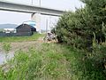 Tractor passing under the KTX line in Yacheon-ri, Hwaseong 37°14′49″N 126°55′17″E﻿ / ﻿37.24694°N 126.92139°E﻿ / 37.24694; 126.92139