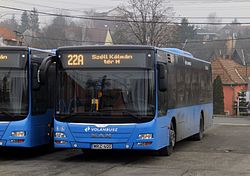 22A busz a Dózsa György téren