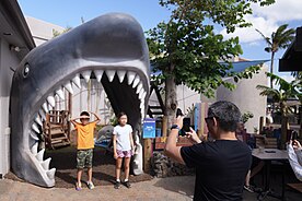 A popular photo stop at the Maui Ocean Center.