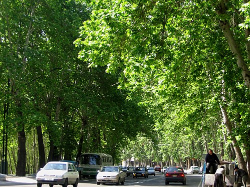 Mahdi Street things to do in Tehran