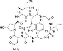 Alpha-amanitin structure.png