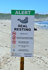 Warning sign seen in South Africa to protect molting seals while hauling out on land Animal warning sign, Onrus Beach (South Africa).jpg