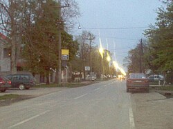 Main street in Boljevci