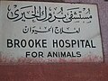 Brooke vet hospital