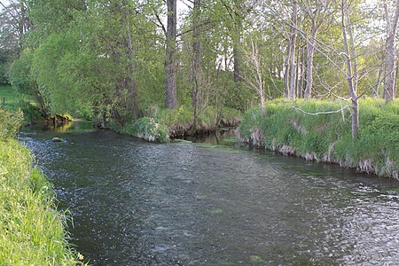 Mündung der Brucht in die Nethe im Mai 2014.