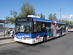 Bus des Plages Angelun