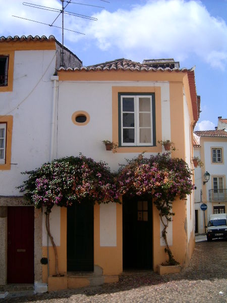 Image:Casa florida em Abrantes.jpg