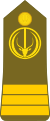 Chad-Army-OF-2.svg