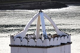 Groupe sur un clocher à El Port de la Selva (Espagne).