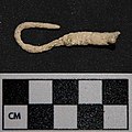 A fishhook found at Nixtun Chʼichʼ